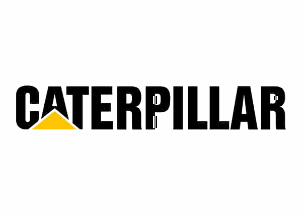 3807683 Насос Caterpillar