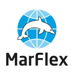 910303 Набор инструмента MarFlex